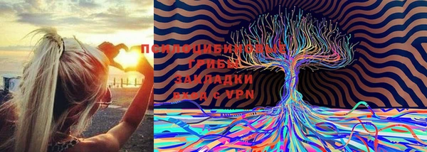 стафф Белокуриха