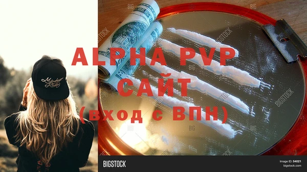 стафф Белокуриха